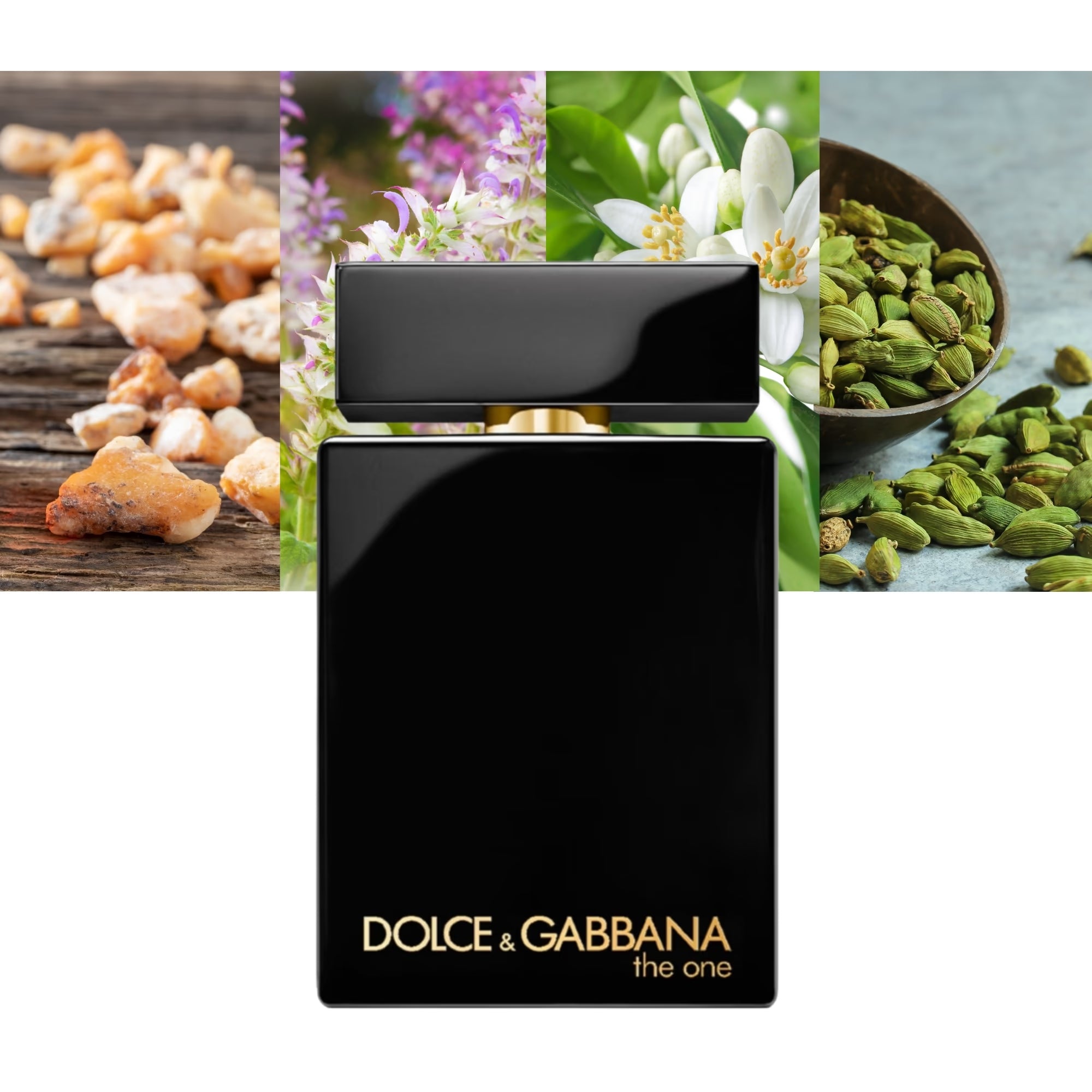 The One By Dolce & Gabbana